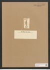 Cymbella fossile Ehr. (de-Toni-Nr.: Genus 33, Species 1452) Zeichnungen Sammlung Grunow Nr. 2780 (NHMW-BOT-W0370054)